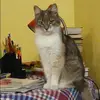 Отзыв от Анна Рогова